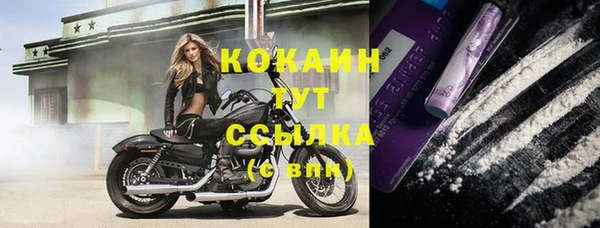 MESCALINE Туринск
