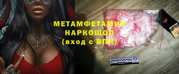 индика Струнино